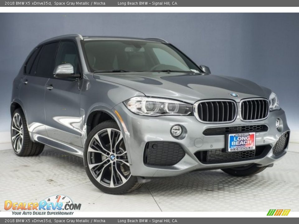 2018 BMW X5 xDrive35d Space Gray Metallic / Mocha Photo #11