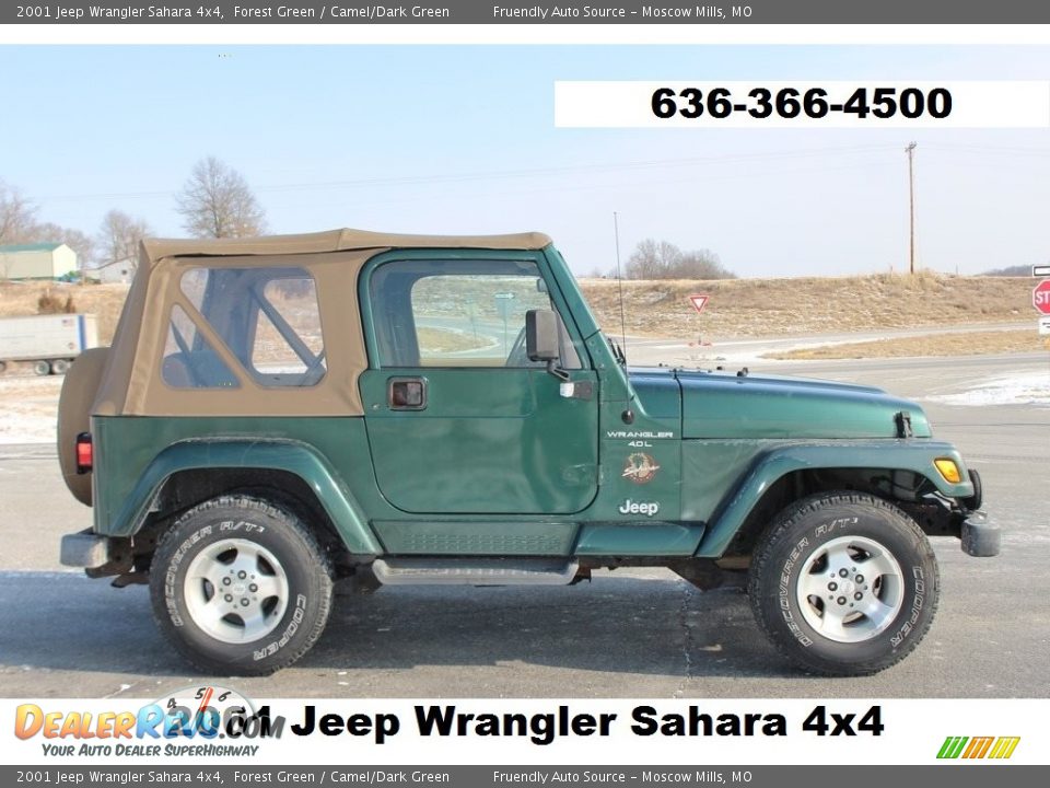 2001 Jeep Wrangler Sahara 4x4 Forest Green / Camel/Dark Green Photo #1