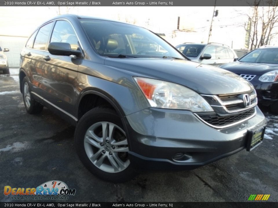 2010 Honda CR-V EX-L AWD Opal Sage Metallic / Black Photo #1