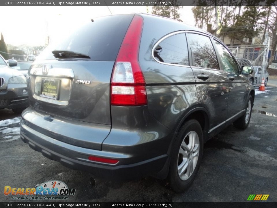 2010 Honda CR-V EX-L AWD Opal Sage Metallic / Black Photo #6