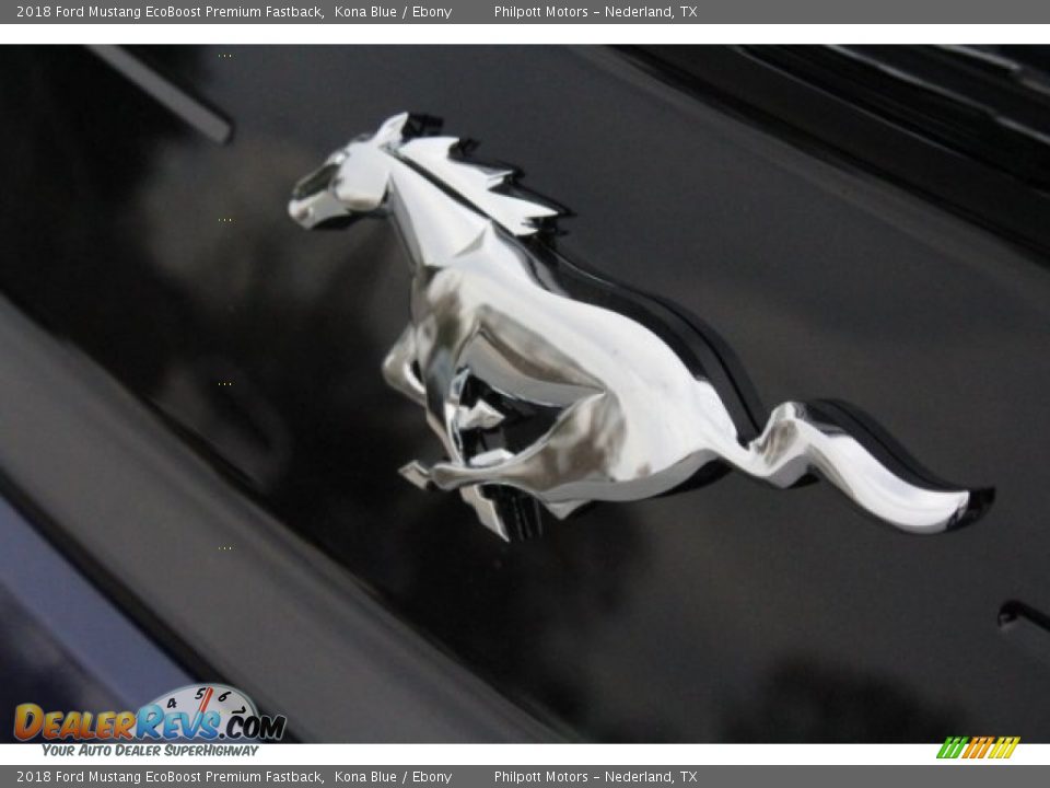 2018 Ford Mustang EcoBoost Premium Fastback Kona Blue / Ebony Photo #10
