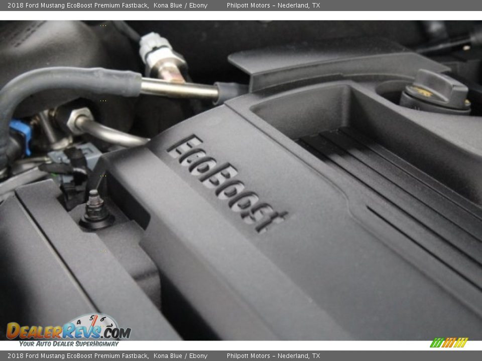 2018 Ford Mustang EcoBoost Premium Fastback Kona Blue / Ebony Photo #33