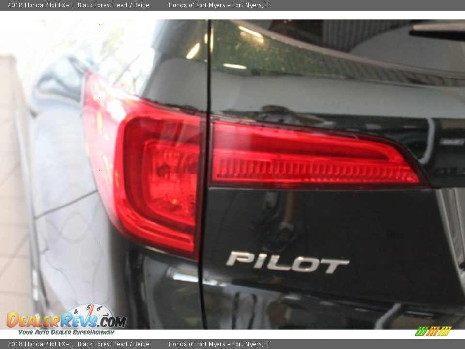 2018 Honda Pilot EX-L Black Forest Pearl / Beige Photo #9