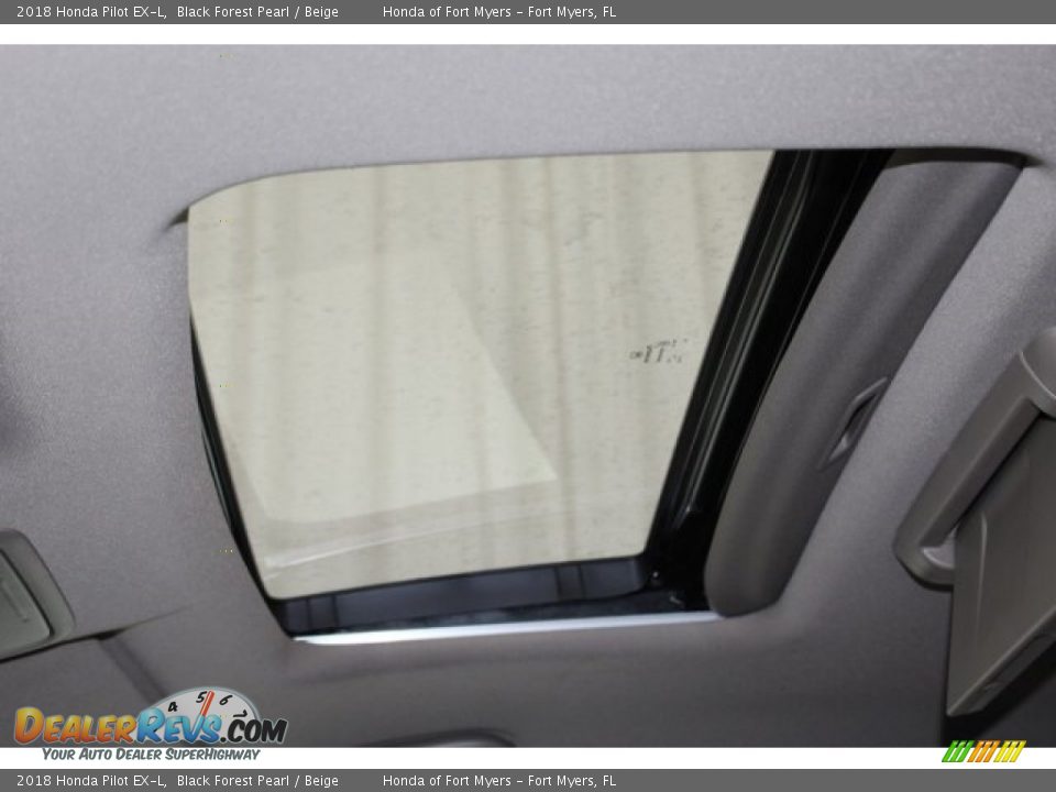 2018 Honda Pilot EX-L Black Forest Pearl / Beige Photo #19