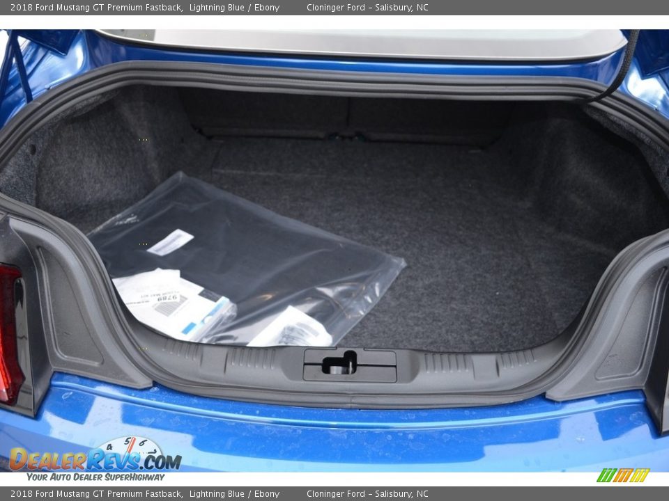 2018 Ford Mustang GT Premium Fastback Lightning Blue / Ebony Photo #8
