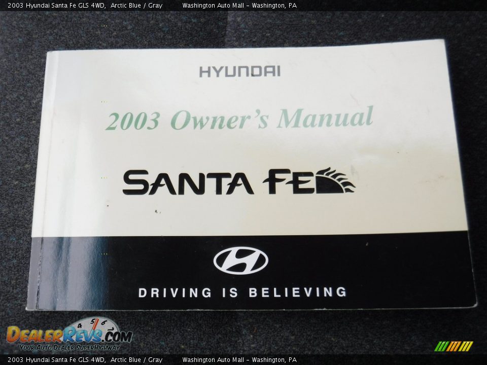 2003 Hyundai Santa Fe GLS 4WD Arctic Blue / Gray Photo #17