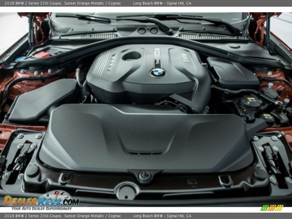 2018 BMW 2 Series 230i Coupe 2.0 Liter DI TwinPower Turbocharged DOHC 16-Valve VVT 4 Cylinder Engine Photo #8