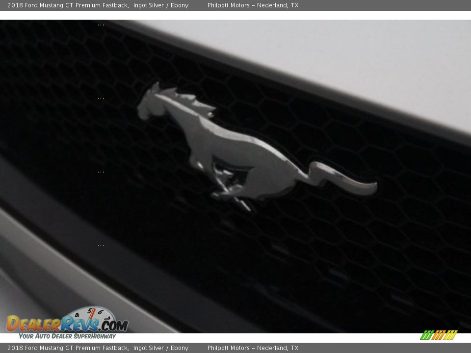 2018 Ford Mustang GT Premium Fastback Ingot Silver / Ebony Photo #4
