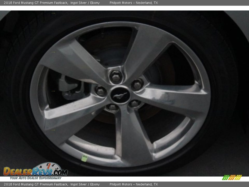 2018 Ford Mustang GT Premium Fastback Ingot Silver / Ebony Photo #10