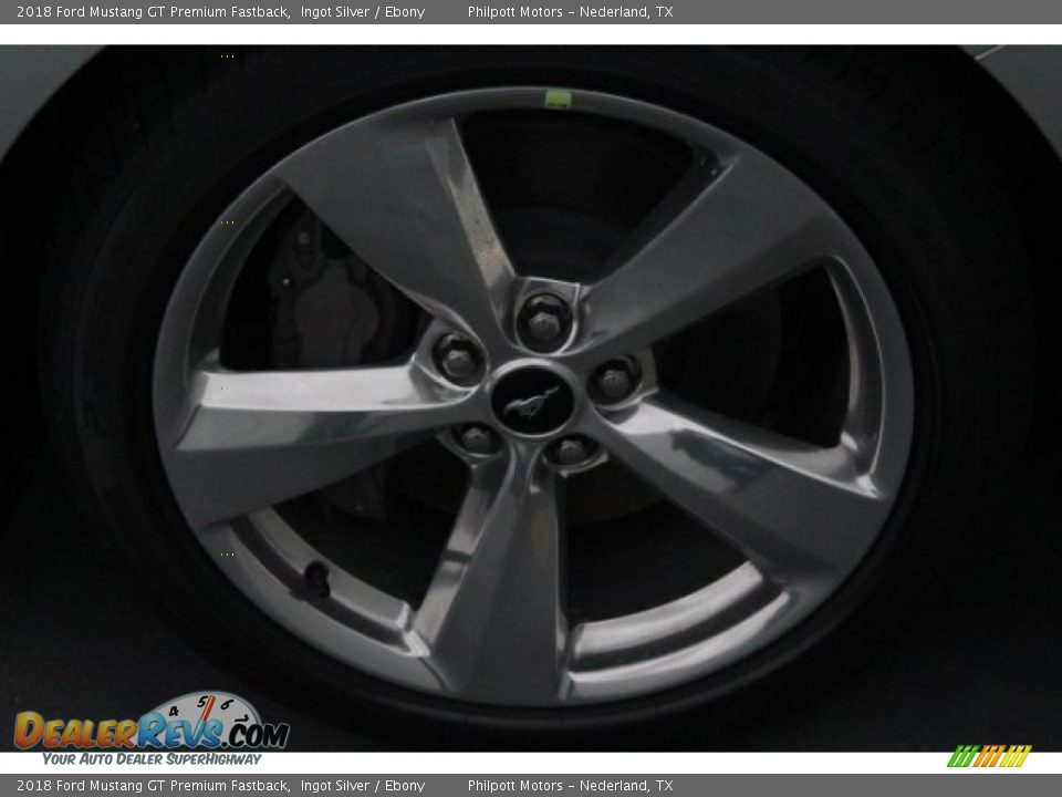 2018 Ford Mustang GT Premium Fastback Ingot Silver / Ebony Photo #11