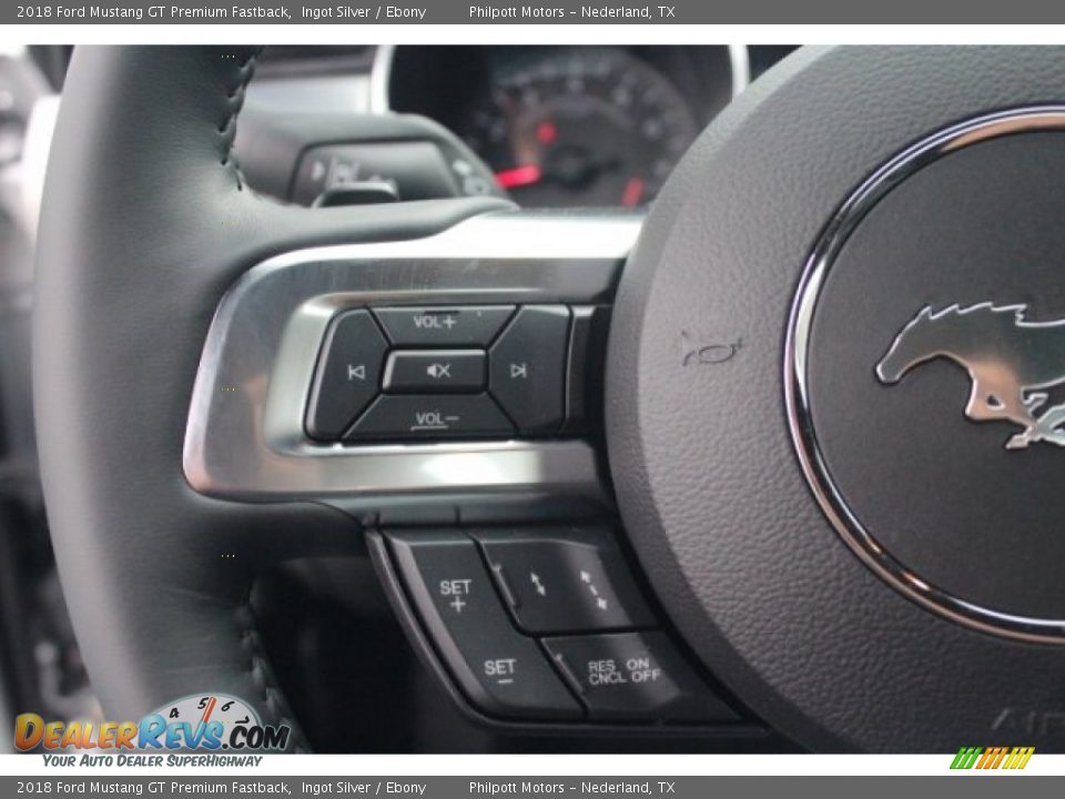 2018 Ford Mustang GT Premium Fastback Ingot Silver / Ebony Photo #22