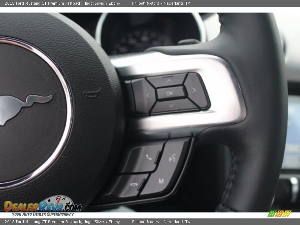 2018 Ford Mustang GT Premium Fastback Ingot Silver / Ebony Photo #23
