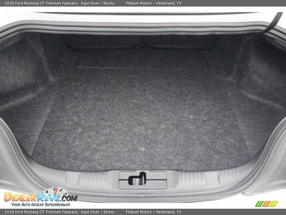 2018 Ford Mustang GT Premium Fastback Ingot Silver / Ebony Photo #26