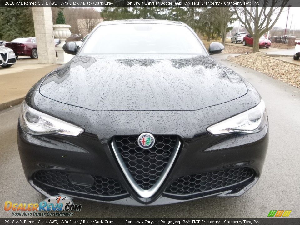 2018 Alfa Romeo Giulia AWD Alfa Black / Black/Dark Gray Photo #12