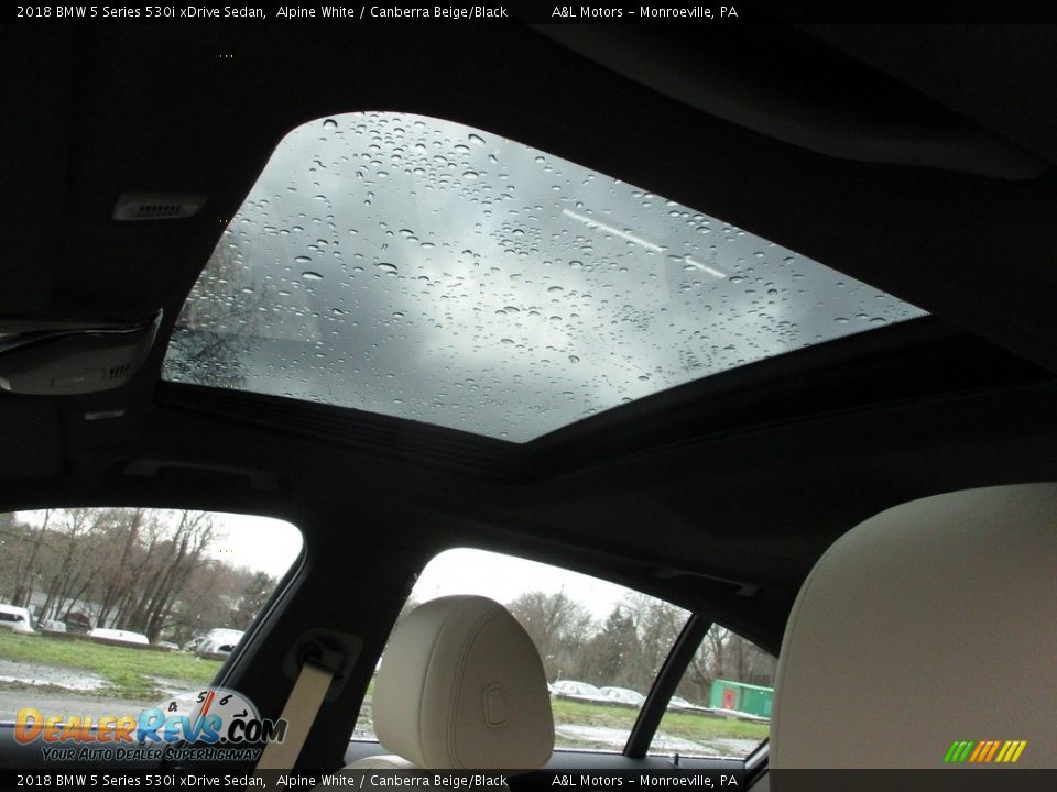 2018 BMW 5 Series 530i xDrive Sedan Alpine White / Canberra Beige/Black Photo #14