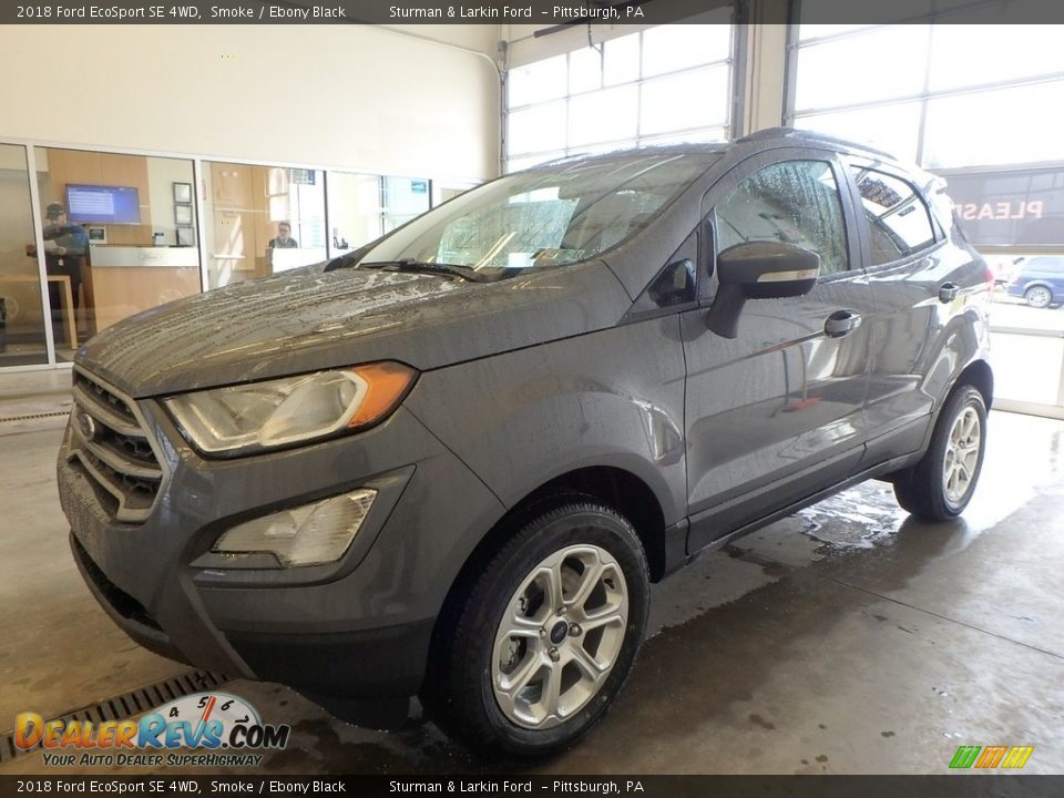 2018 Ford EcoSport SE 4WD Smoke / Ebony Black Photo #4