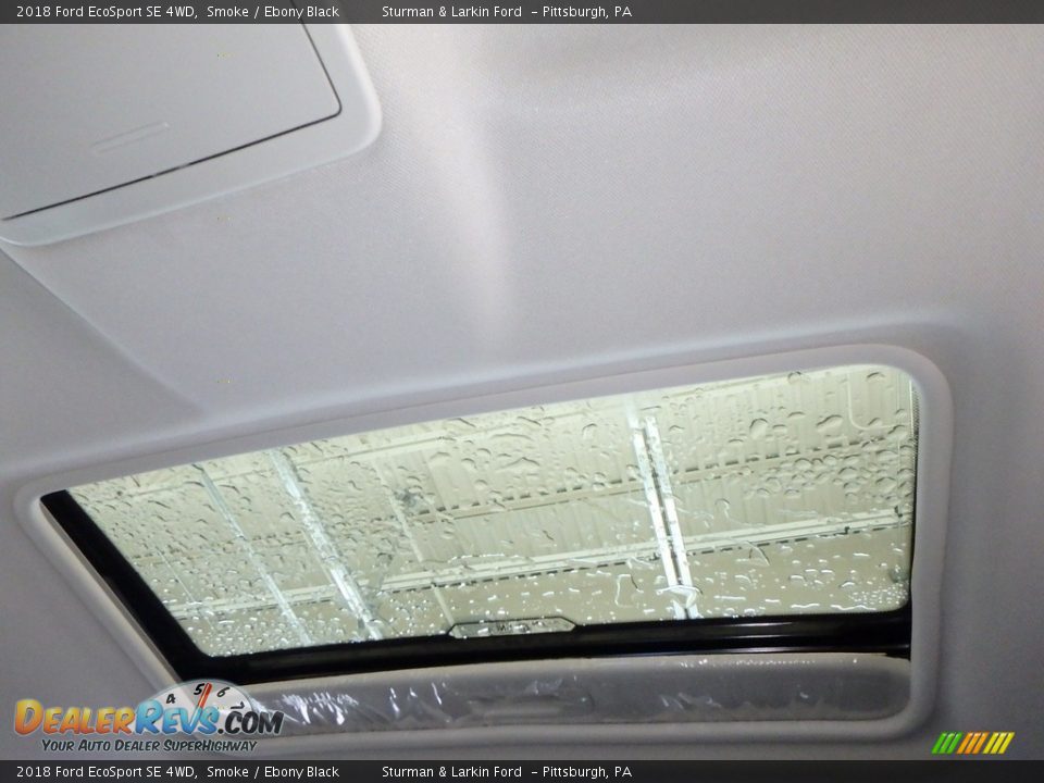 2018 Ford EcoSport SE 4WD Smoke / Ebony Black Photo #12