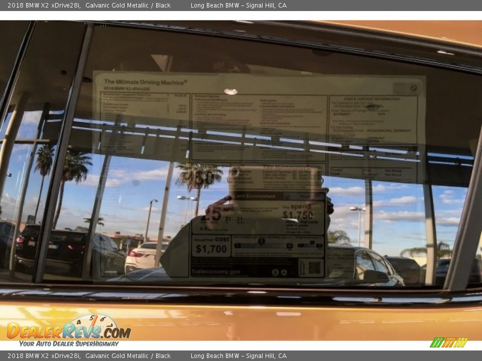 2018 BMW X2 xDrive28i Galvanic Gold Metallic / Black Photo #10