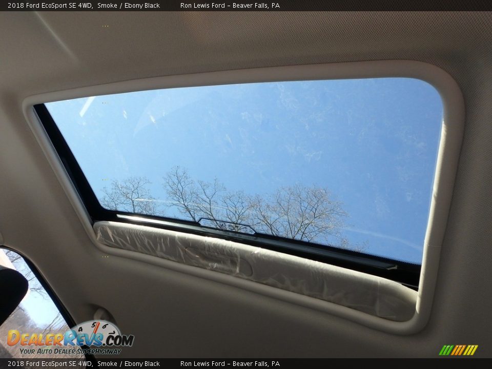 2018 Ford EcoSport SE 4WD Smoke / Ebony Black Photo #17