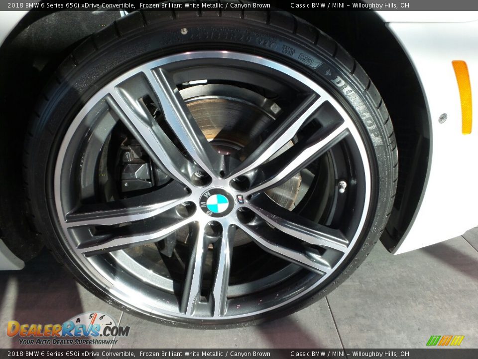 2018 BMW 6 Series 650i xDrive Convertible Frozen Brilliant White Metallic / Canyon Brown Photo #4