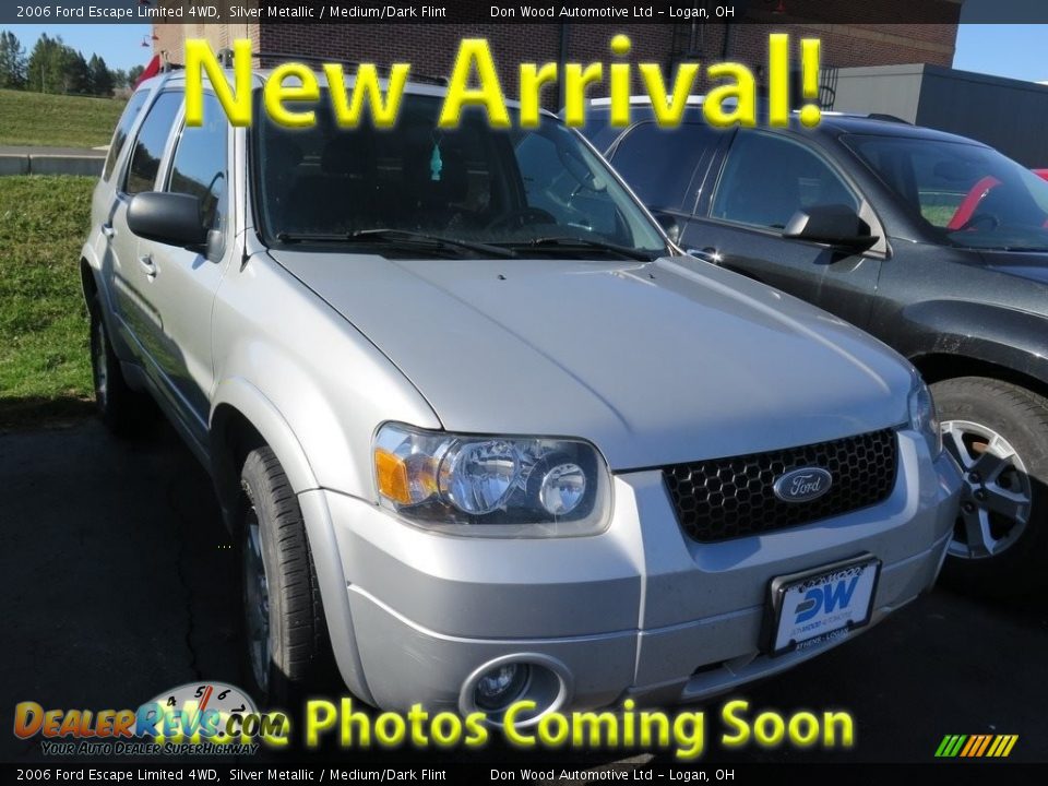 2006 Ford Escape Limited 4WD Silver Metallic / Medium/Dark Flint Photo #1