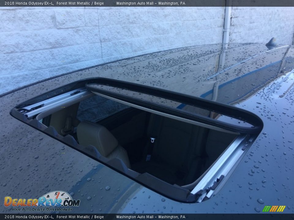 2018 Honda Odyssey EX-L Forest Mist Metallic / Beige Photo #9