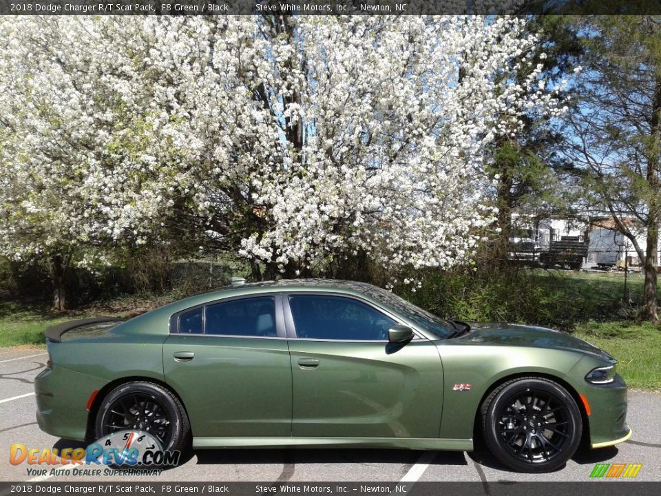 2018 Dodge Charger R/T Scat Pack F8 Green / Black Photo #5