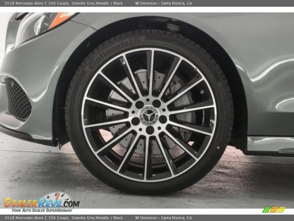 2018 Mercedes-Benz C 300 Coupe Selenite Grey Metallic / Black Photo #9