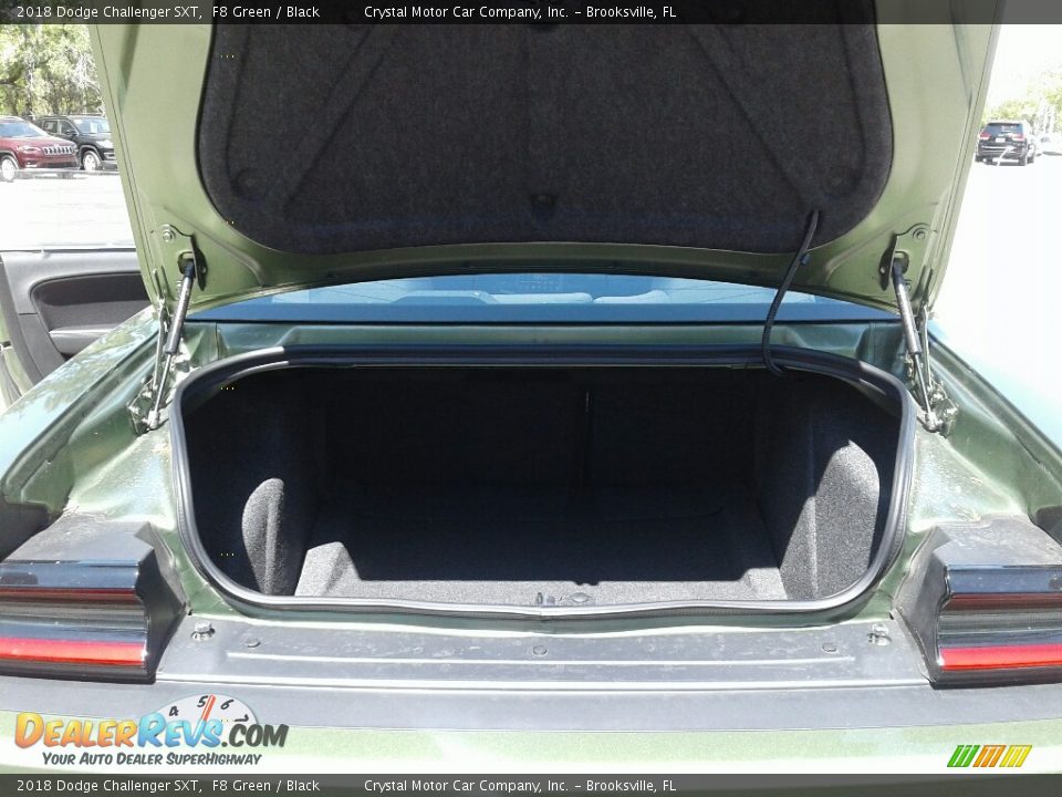 2018 Dodge Challenger SXT F8 Green / Black Photo #19