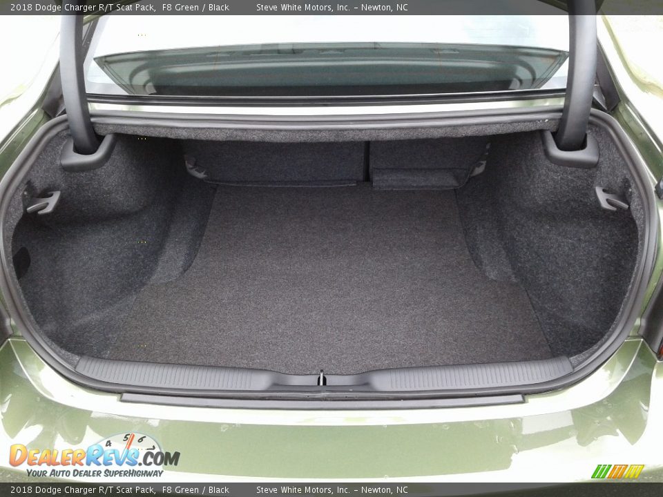 2018 Dodge Charger R/T Scat Pack F8 Green / Black Photo #12