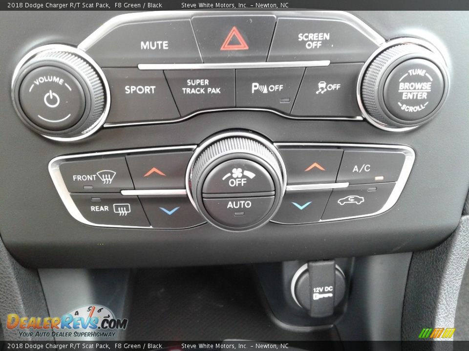 2018 Dodge Charger R/T Scat Pack F8 Green / Black Photo #29