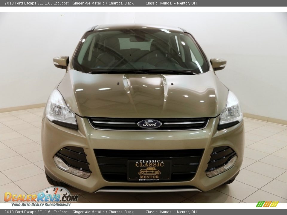 2013 Ford Escape SEL 1.6L EcoBoost Ginger Ale Metallic / Charcoal Black Photo #2