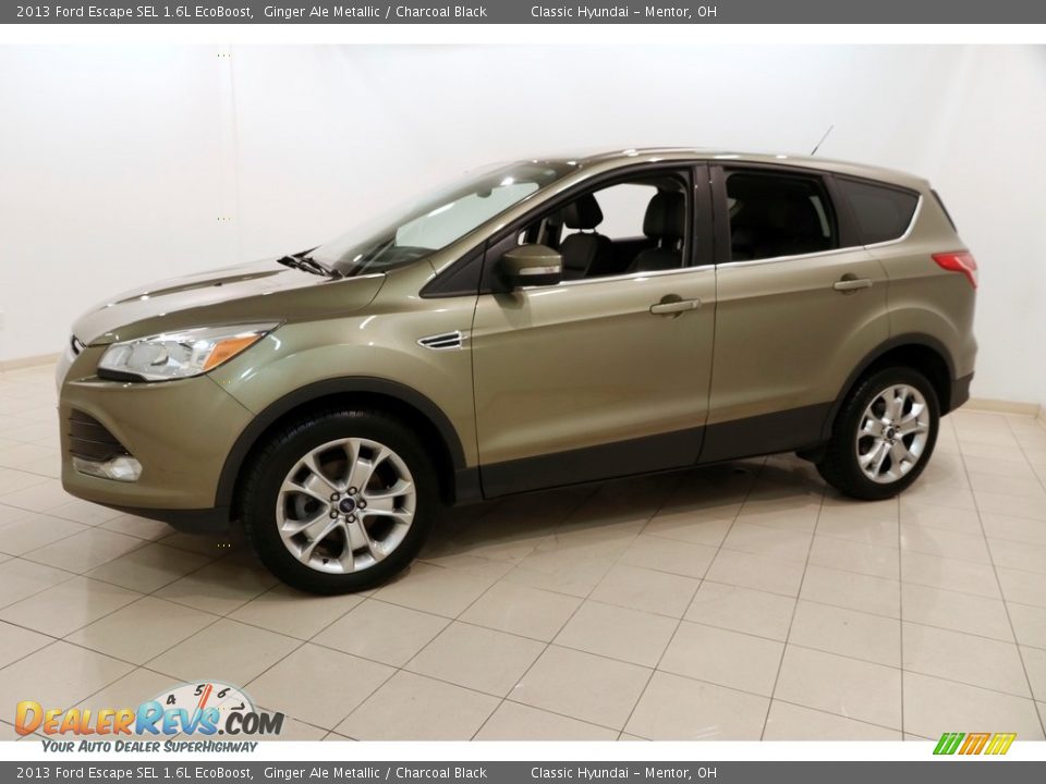 2013 Ford Escape SEL 1.6L EcoBoost Ginger Ale Metallic / Charcoal Black Photo #3
