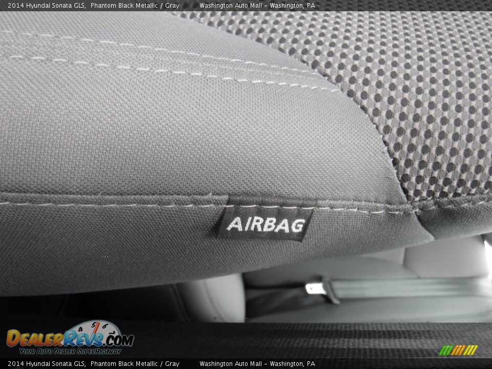 2014 Hyundai Sonata GLS Phantom Black Metallic / Gray Photo #15