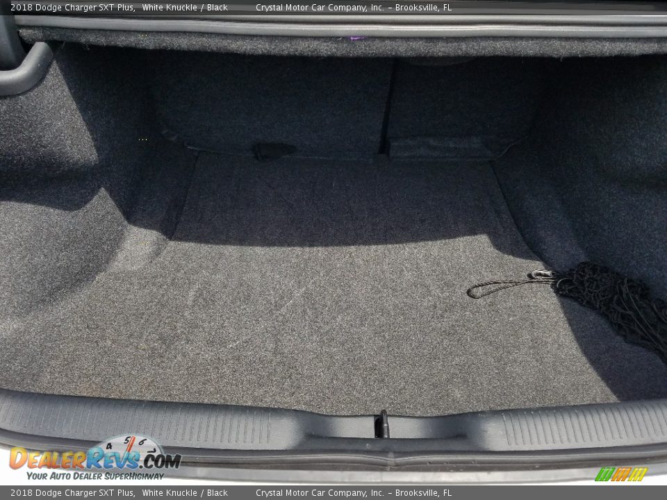 2018 Dodge Charger SXT Plus White Knuckle / Black Photo #18