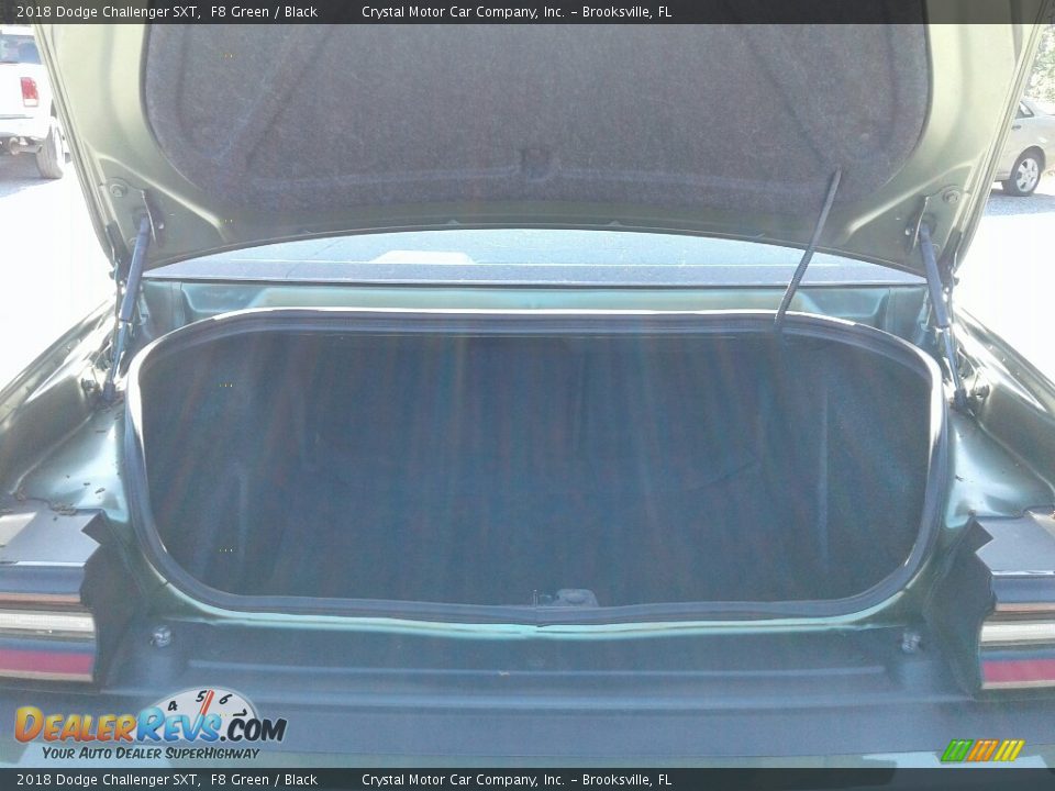 2018 Dodge Challenger SXT F8 Green / Black Photo #19