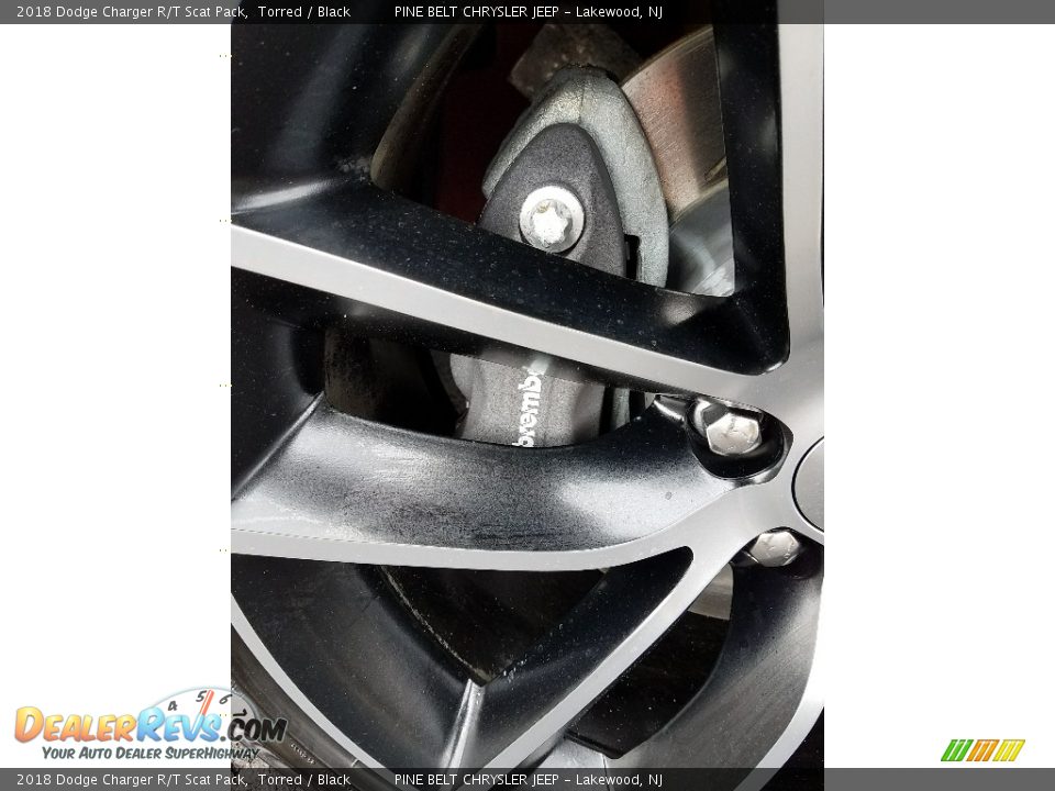 2018 Dodge Charger R/T Scat Pack Torred / Black Photo #10