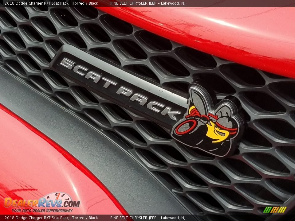 2018 Dodge Charger R/T Scat Pack Torred / Black Photo #29