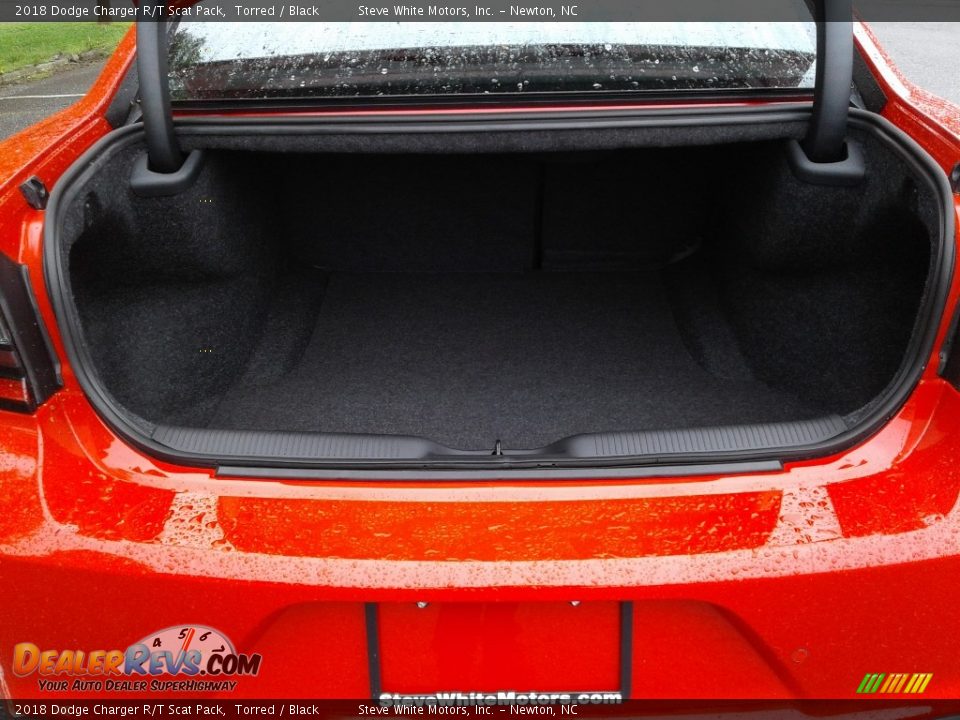 2018 Dodge Charger R/T Scat Pack Torred / Black Photo #13