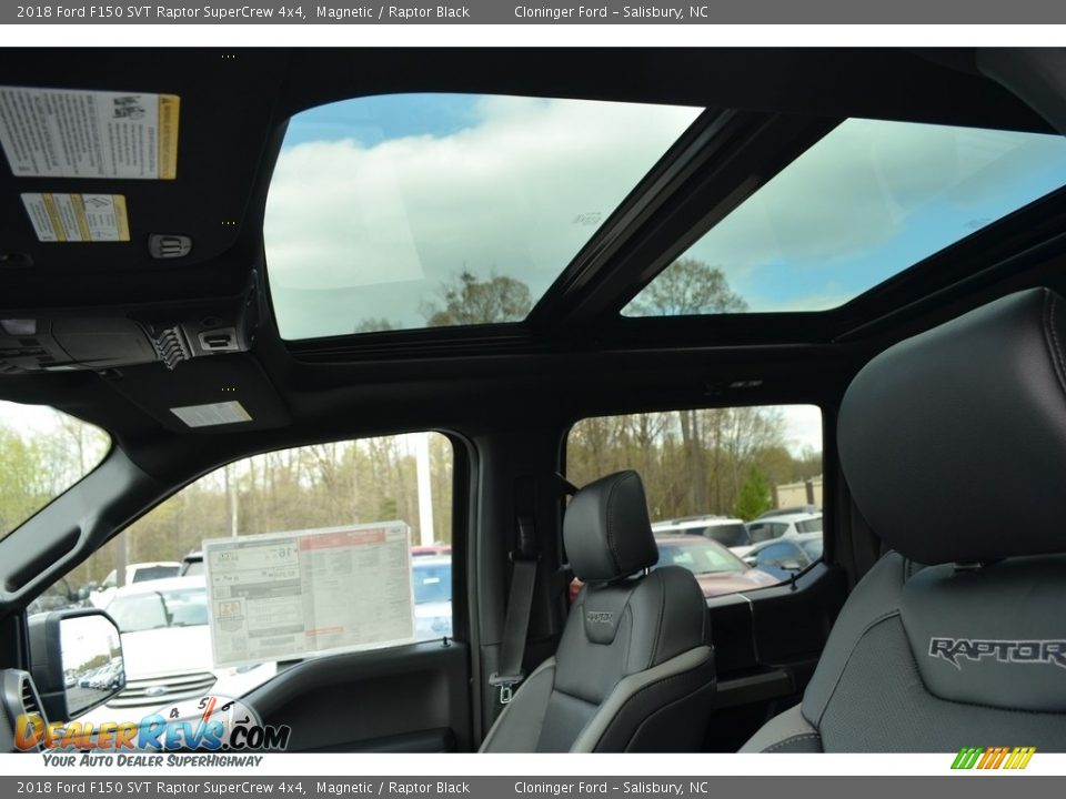 2018 Ford F150 SVT Raptor SuperCrew 4x4 Magnetic / Raptor Black Photo #10