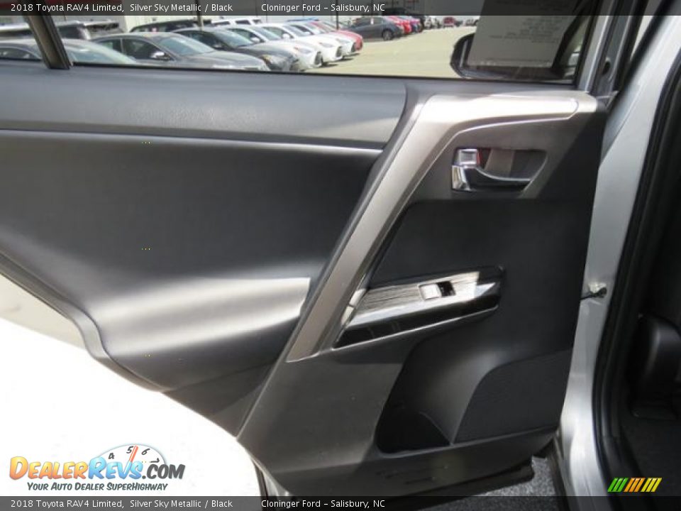 Door Panel of 2018 Toyota RAV4 Limited Photo #7