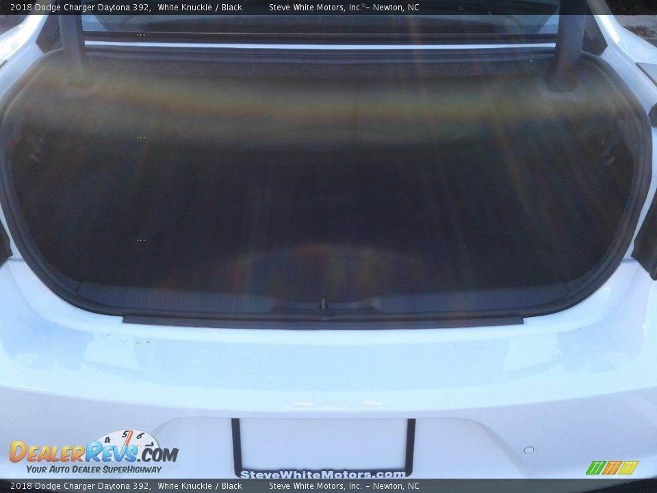 2018 Dodge Charger Daytona 392 White Knuckle / Black Photo #13