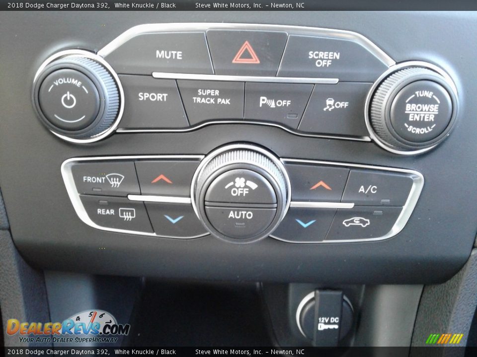 2018 Dodge Charger Daytona 392 White Knuckle / Black Photo #28