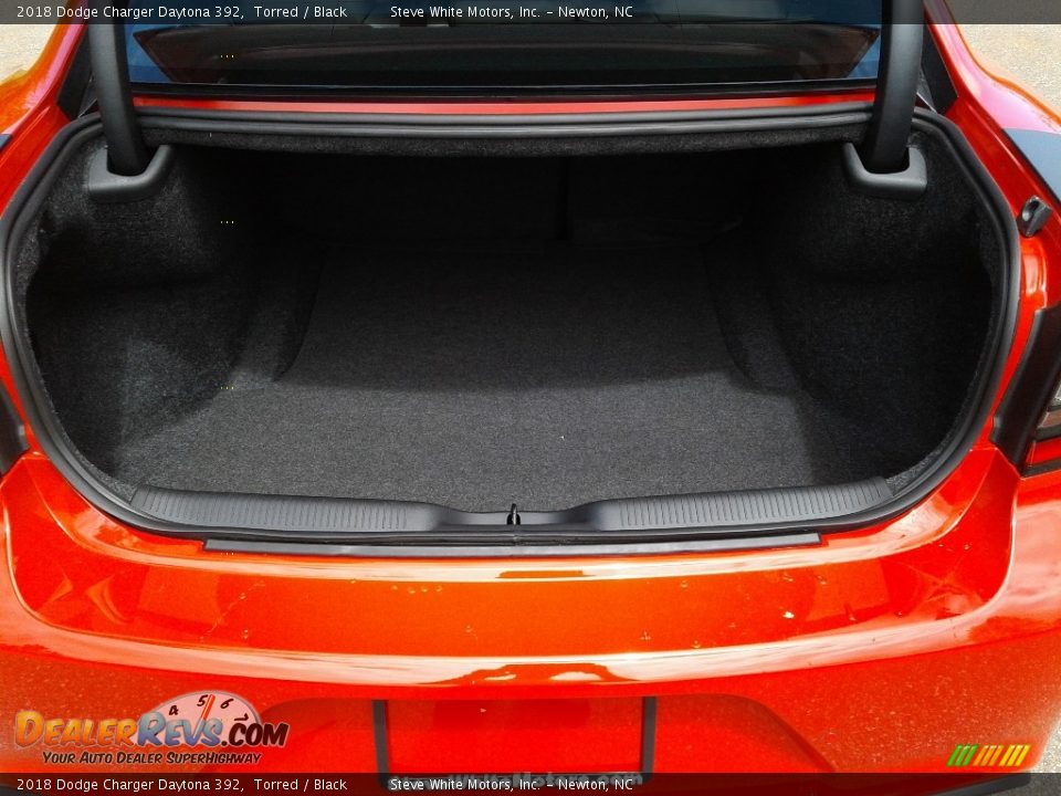 2018 Dodge Charger Daytona 392 Torred / Black Photo #13