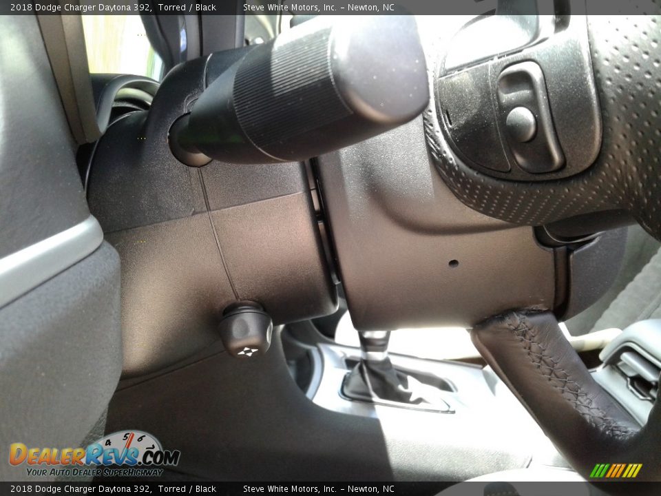 2018 Dodge Charger Daytona 392 Torred / Black Photo #16