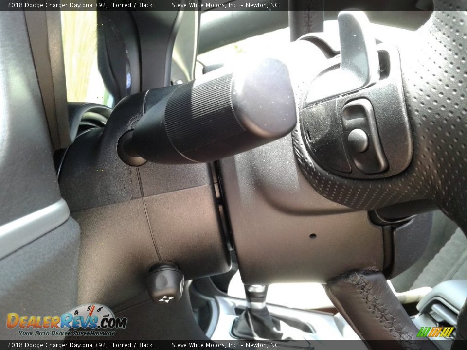 2018 Dodge Charger Daytona 392 Torred / Black Photo #17