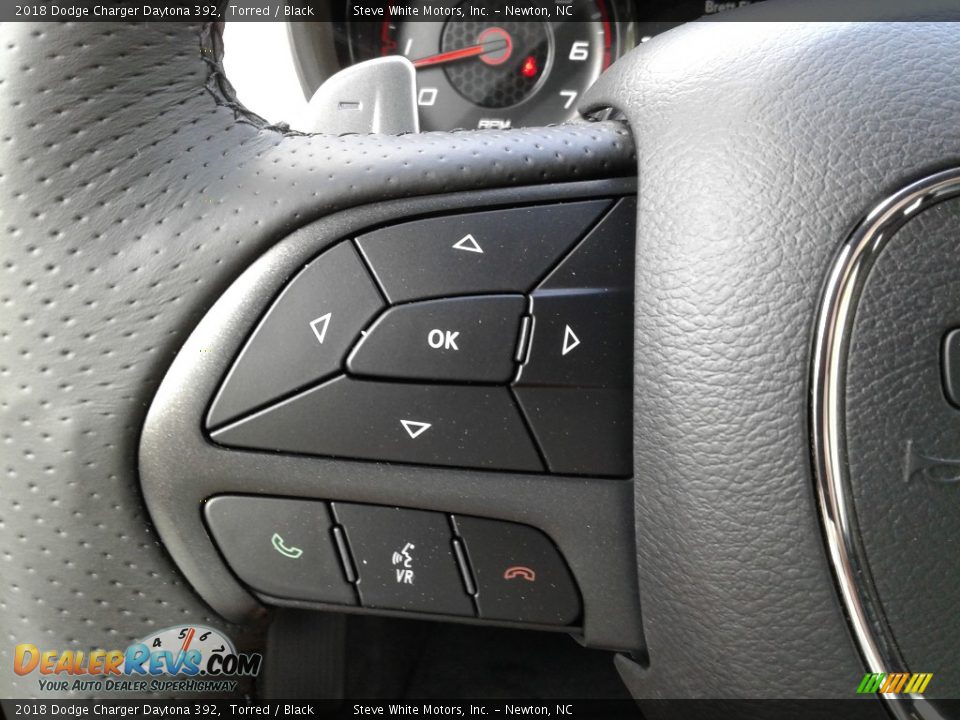 2018 Dodge Charger Daytona 392 Torred / Black Photo #18