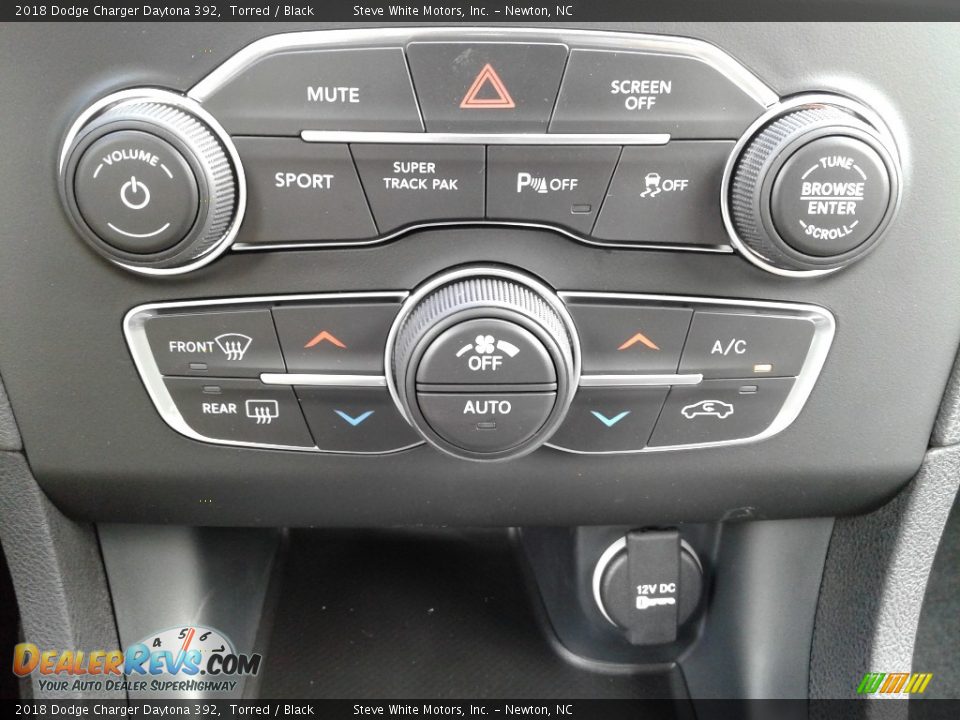 2018 Dodge Charger Daytona 392 Torred / Black Photo #28