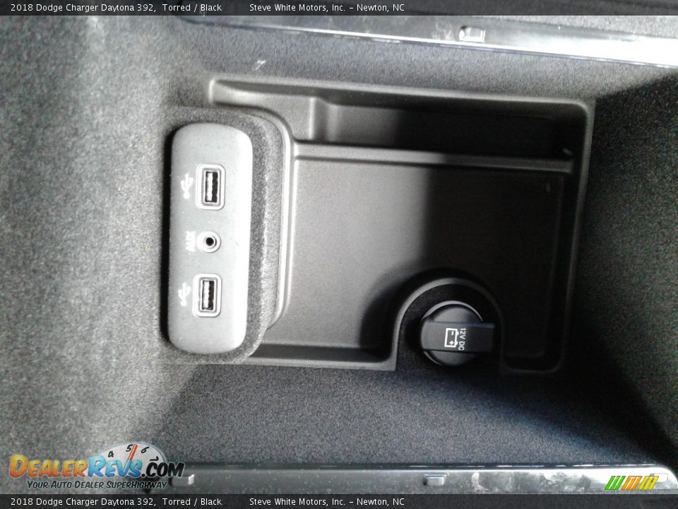 2018 Dodge Charger Daytona 392 Torred / Black Photo #29