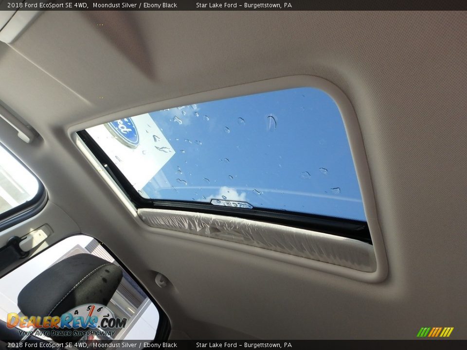2018 Ford EcoSport SE 4WD Moondust Silver / Ebony Black Photo #16